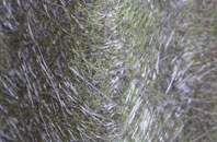 Upper Tysoe fibreglass roof work